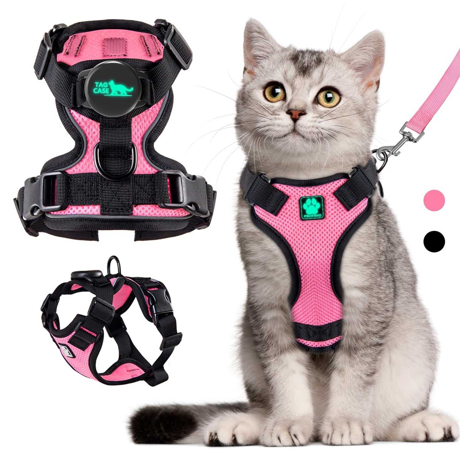 Cat Collar and Leashes