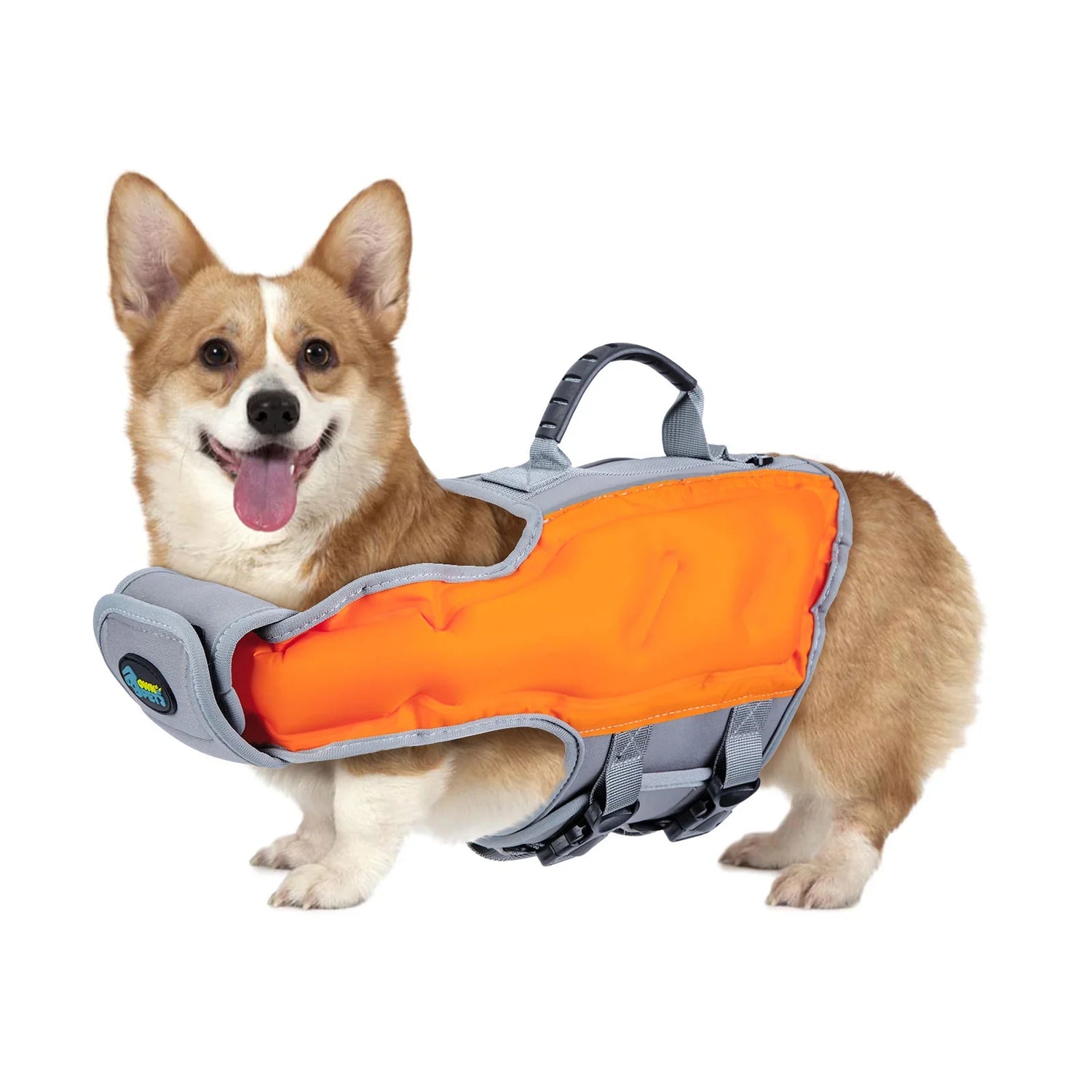 Dog Life Jackets