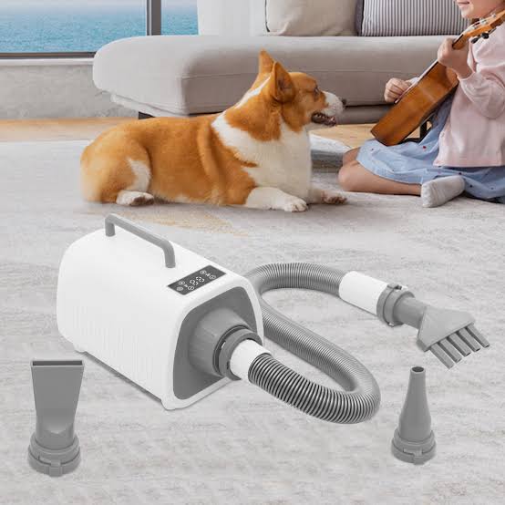 Grooming & Drying