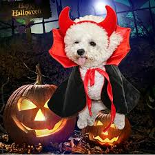 Pet Halloween Costumes