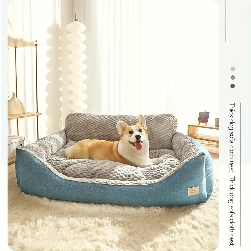Beds, Blankets & Furniture