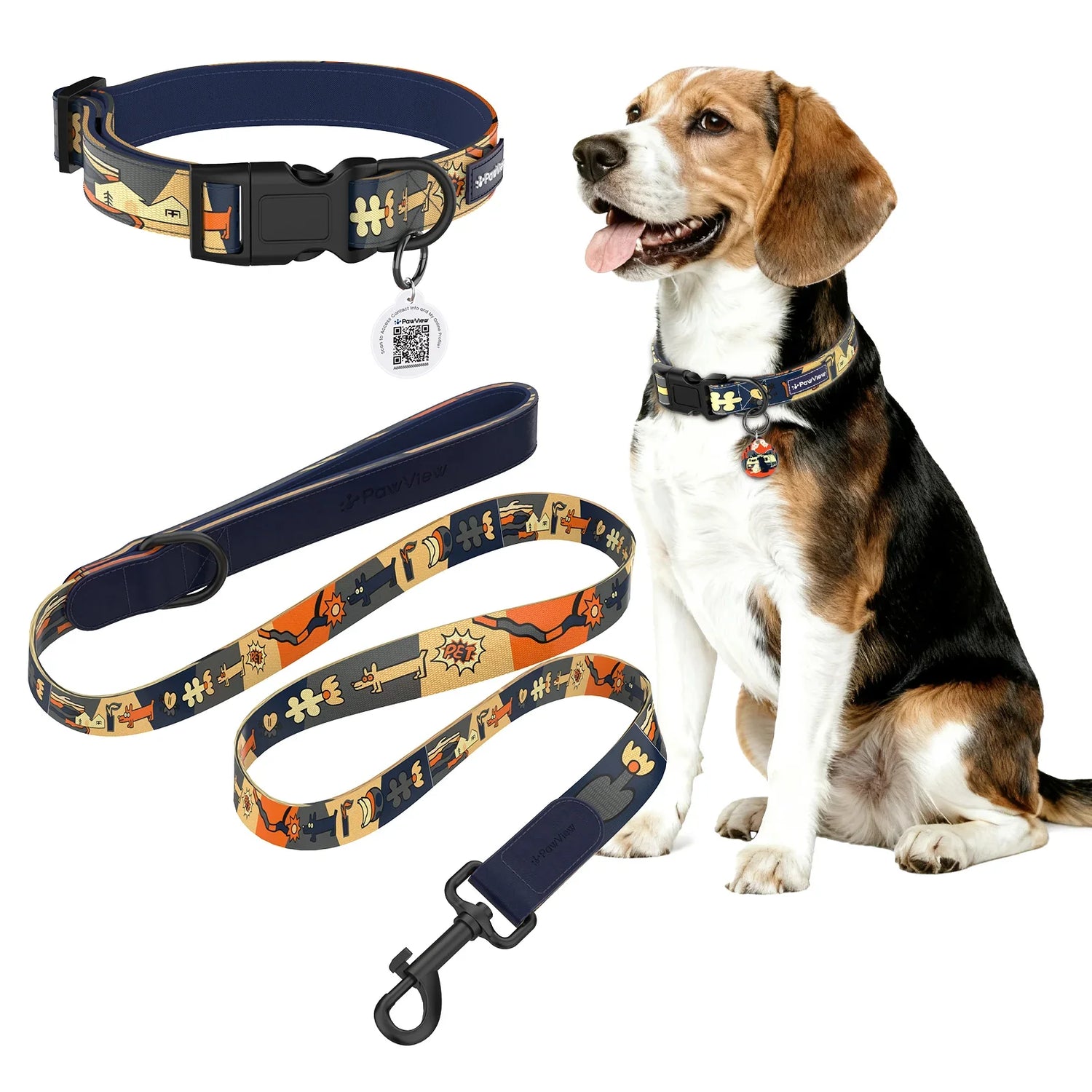 Collars, Leashes & Walking Gear