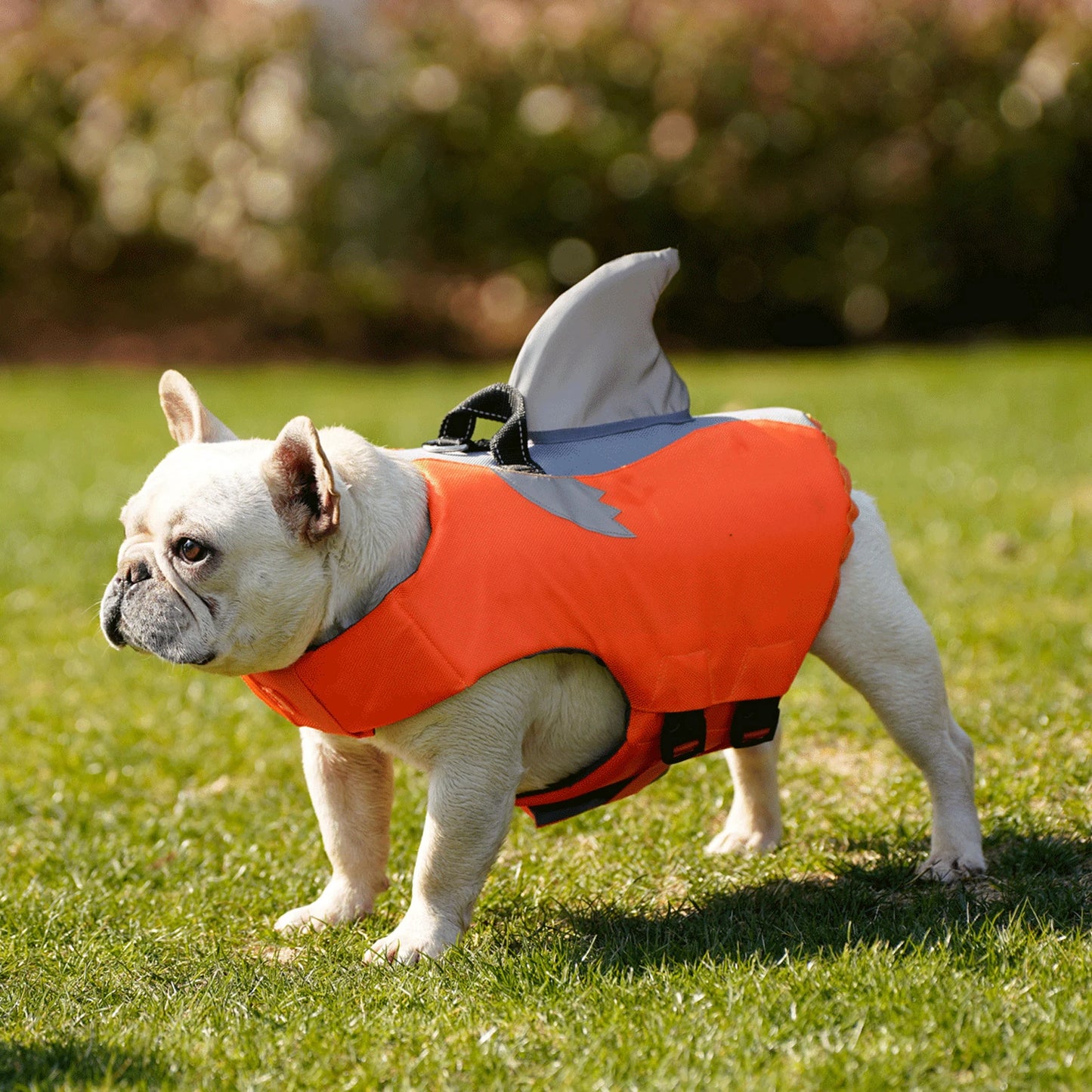 Dog Life Jacket High Buoyancy Dog Safety Vest with Rescue Handle for Small Medium Large Dogs Reflective Swim Vest