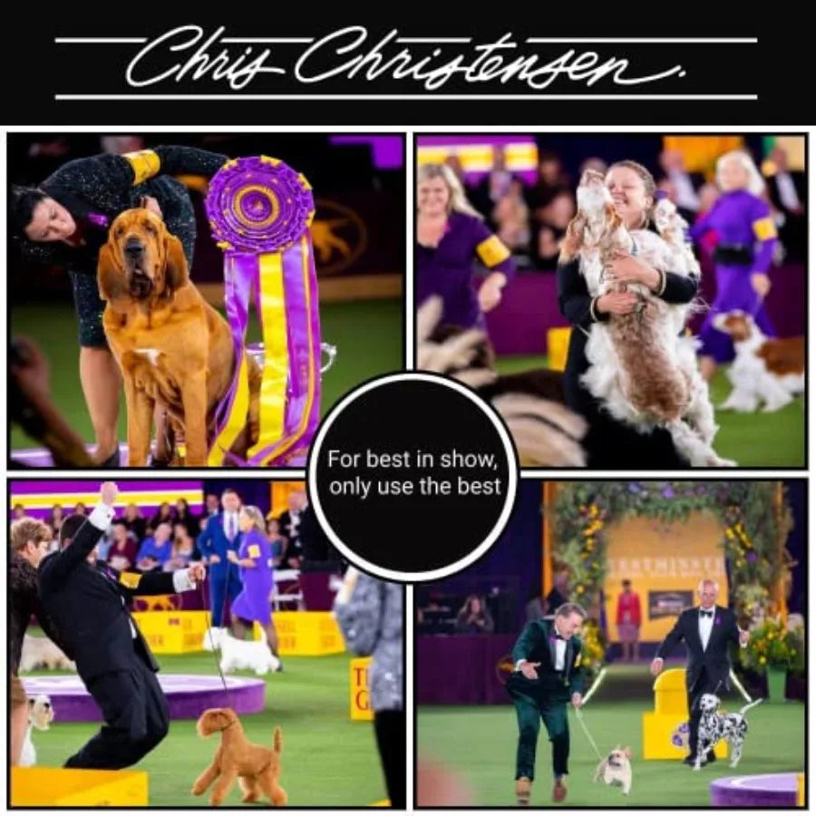 Chris Christensen Andreas Dog Brush Mason-Pearson Style Boar and Nylon Bristle Brush Groom Like a Professional Lightweight Beec