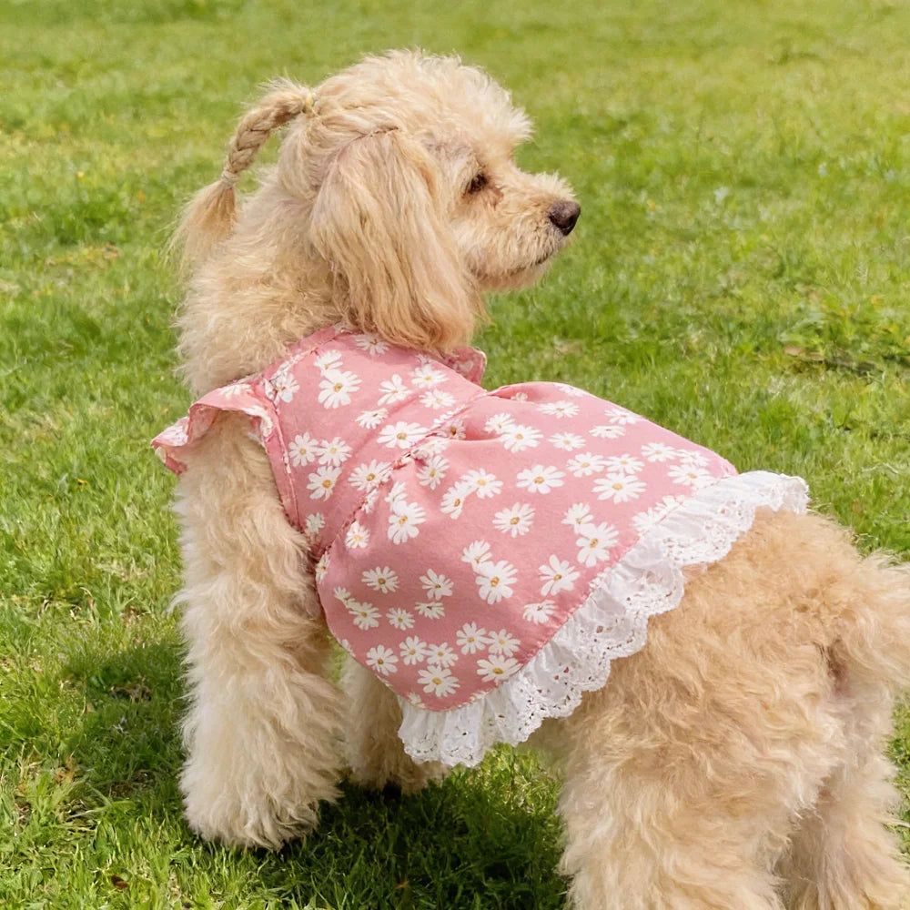 Summer dog clothes, chrysanthemum print cool short dress, breathable, pet clothing