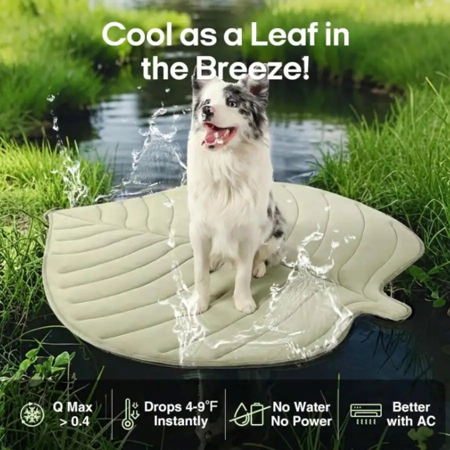 Leaf Shape Pet Ice Cooling Pad, Comfort Universal Summer Floor Mat for Cats & Dogs