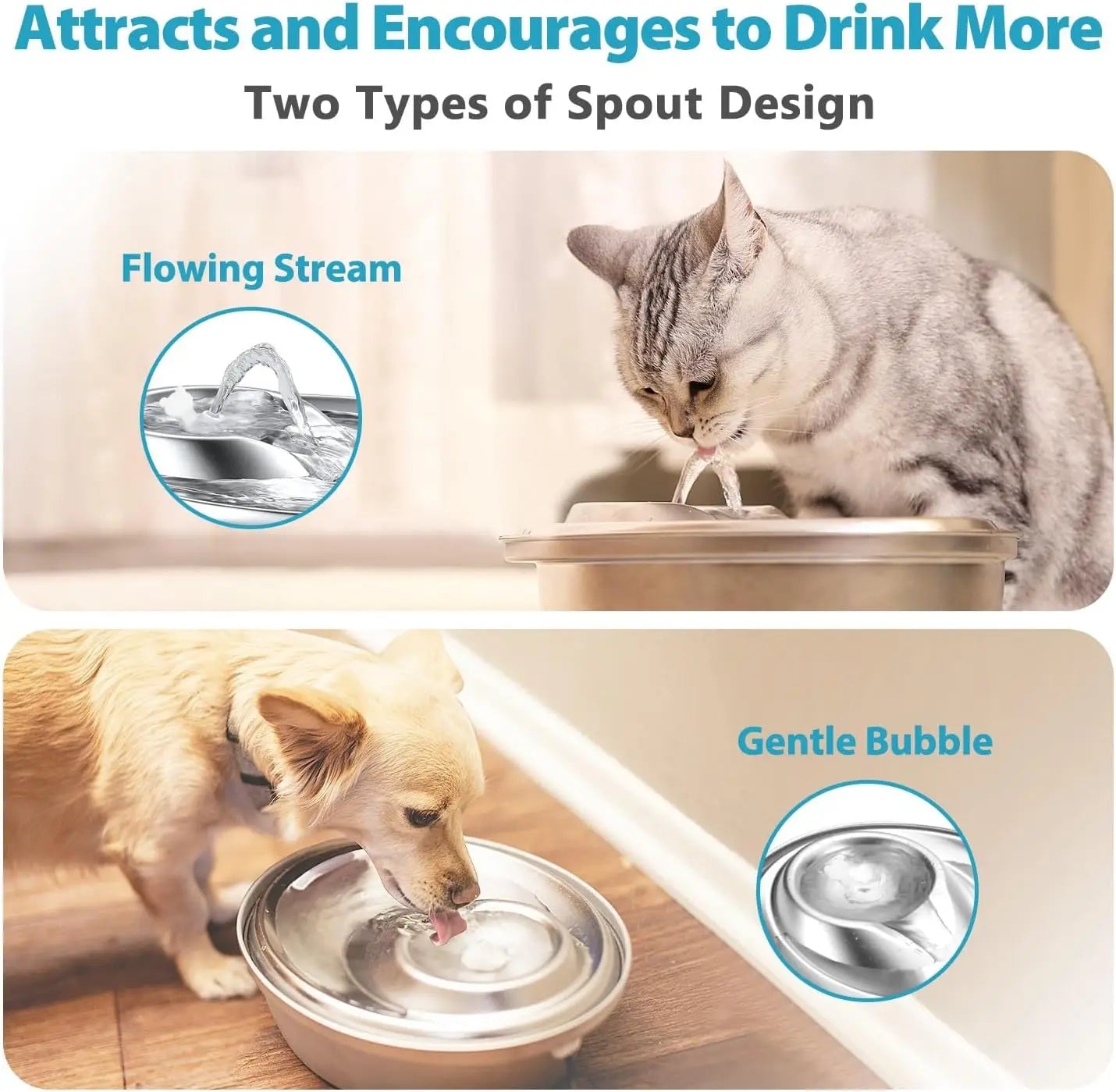 Stainless Steel Cat Water Fountain with 6 Filters, 2L Automatic Pet Drinking Fountain for Cats and Small Dogs, Quiet and