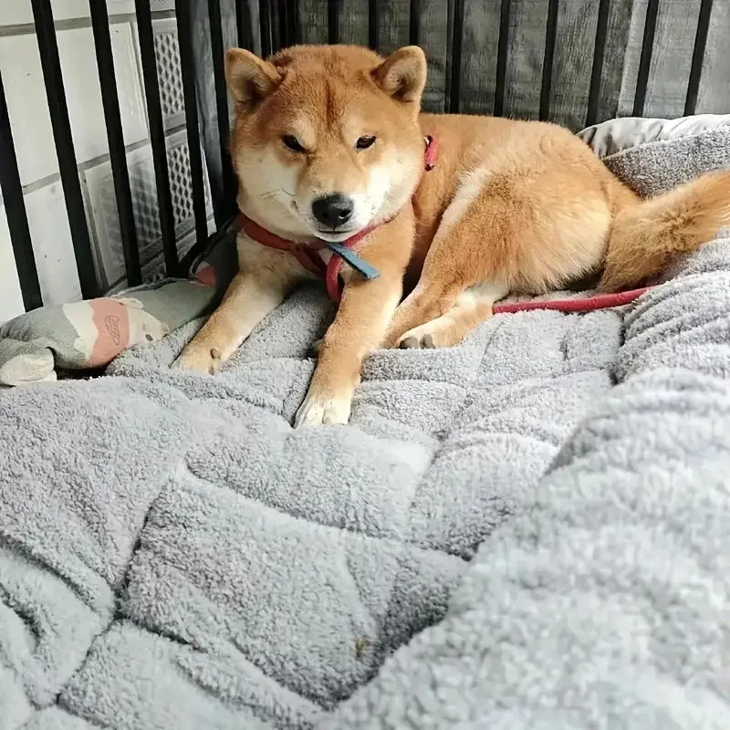 Oversized Plush Dog Cat Bed - Winter Warm Waterproof Washable Pet Mat, Extra Thick Soft Fleece Sofa Crate Pad for All Sizes Dogs