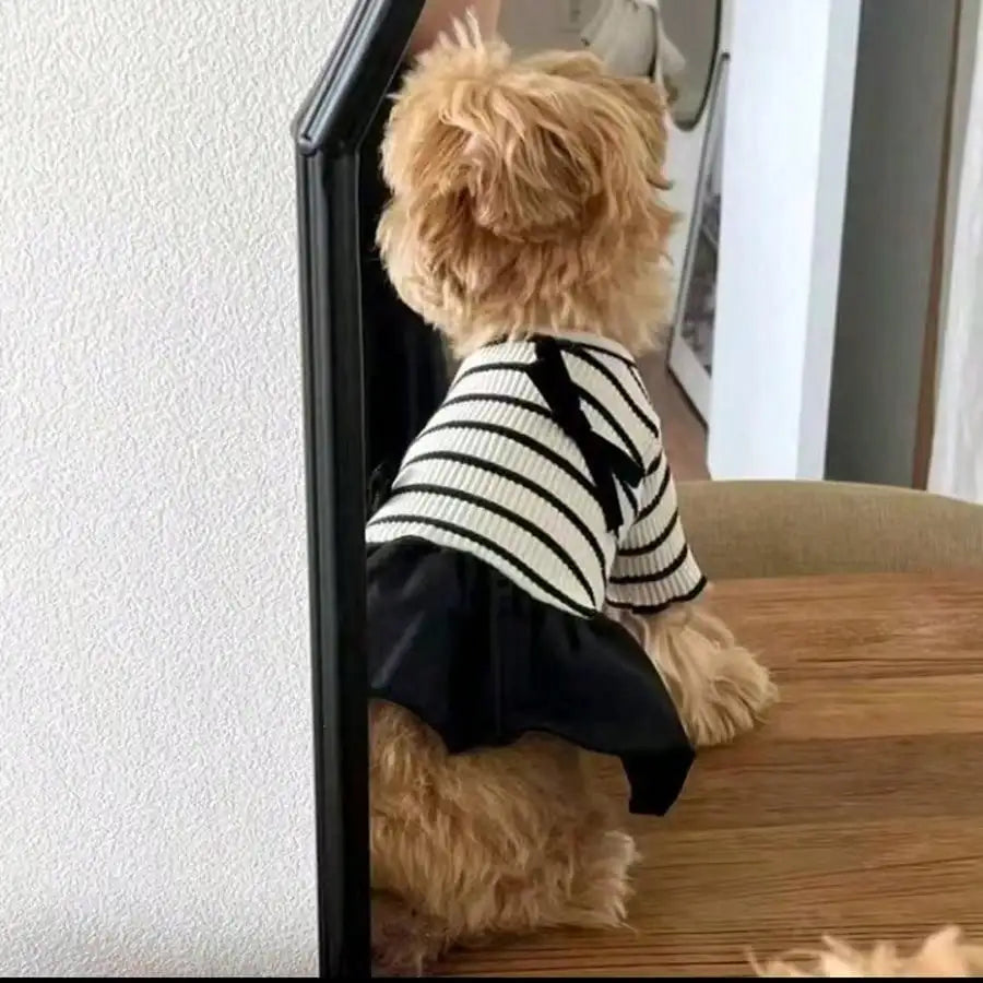 Small Dog Striped Casual Dress, Lightweight Airy Fabric Pet Clothes Perfect for Warm Spring and Summer Days