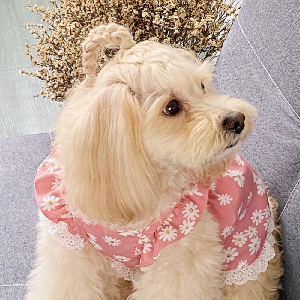 Summer dog clothes, chrysanthemum print cool short dress, breathable, pet clothing