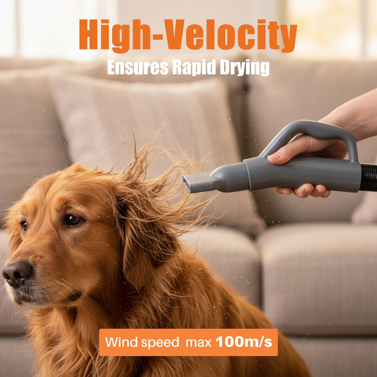 JHK 5-piece Pet Blow Dryer Grooming Vacuum Kit  4 Nozzles 6.5 FT Cord for Low Noise Dog Hair Dryer with Adjustable Cool-Warm-Hot