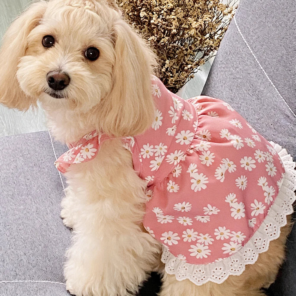 Summer dog clothes, chrysanthemum print cool short dress, breathable, pet clothing