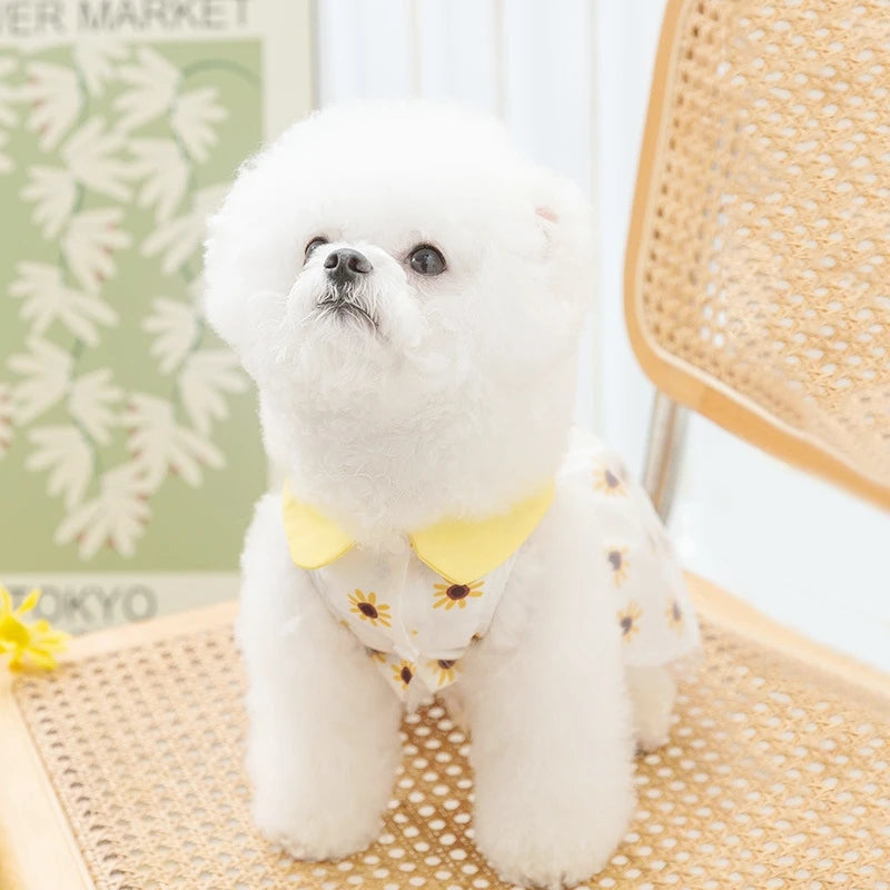 Dog Princess Dress Cute Pet Dog Mesh Dress Kitten Puppy Pet Skirt Dog Summer Dress Bow Lace Korean Poodle Chihuahua Dog Clothes