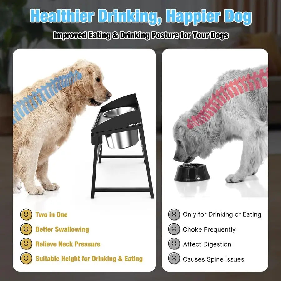 Proof Tilted Elevated Dog Bowls for Large Breed, 15 Tall Raised Dog Bowl with Stand, Stainless Steel Dog Food Bowl amp Water Bow