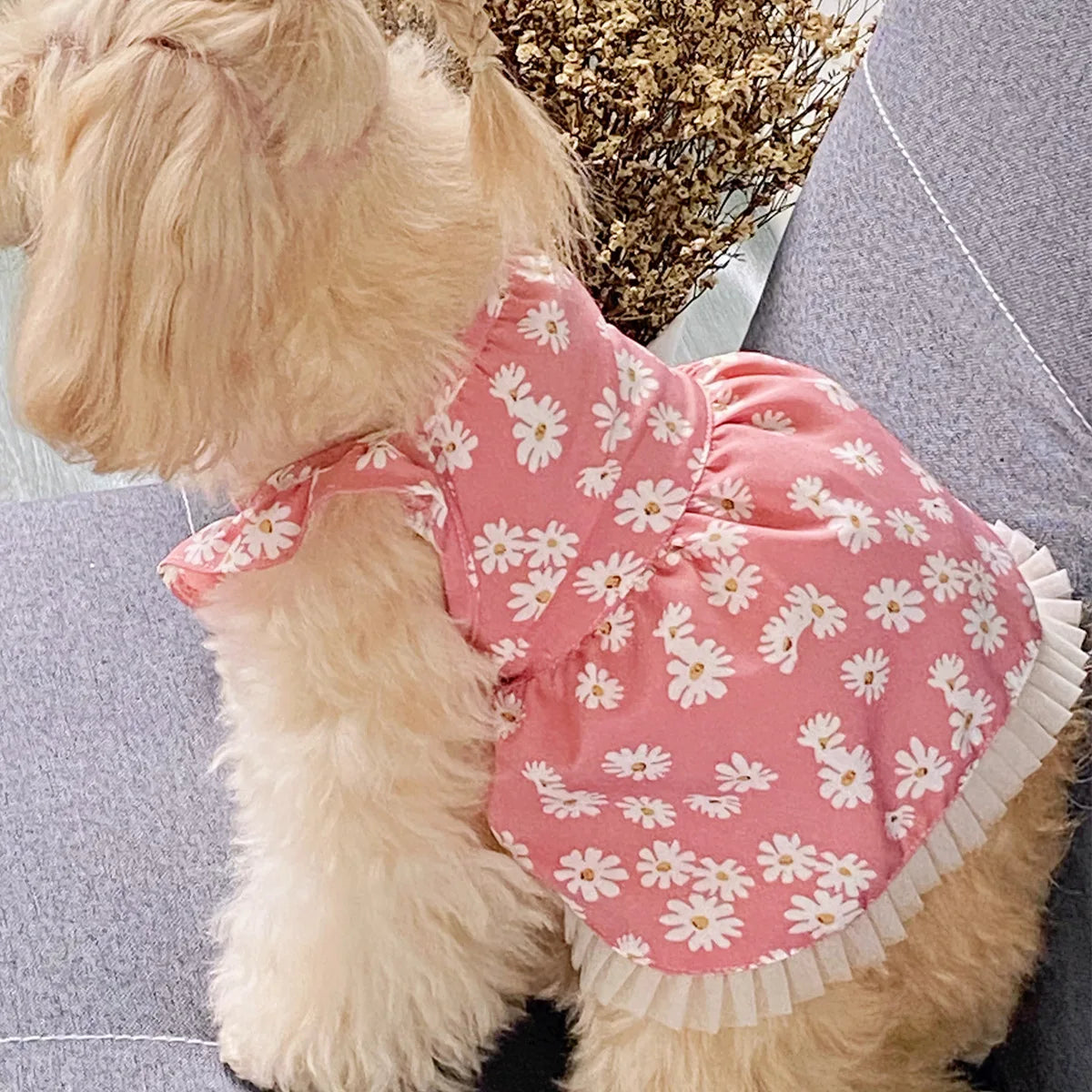 Summer dog clothes, chrysanthemum print cool short dress, breathable, pet clothing