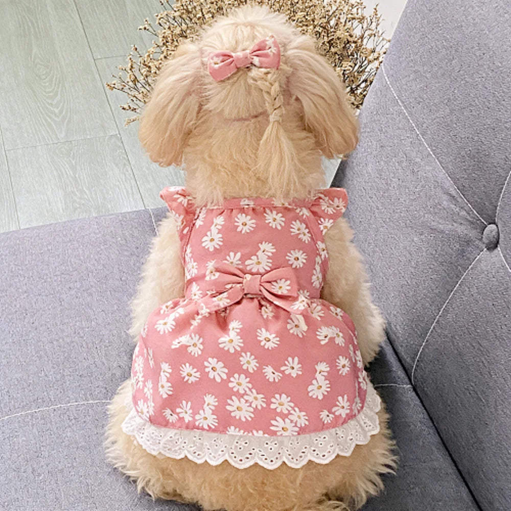 Summer dog clothes, chrysanthemum print cool short dress, breathable, pet clothing